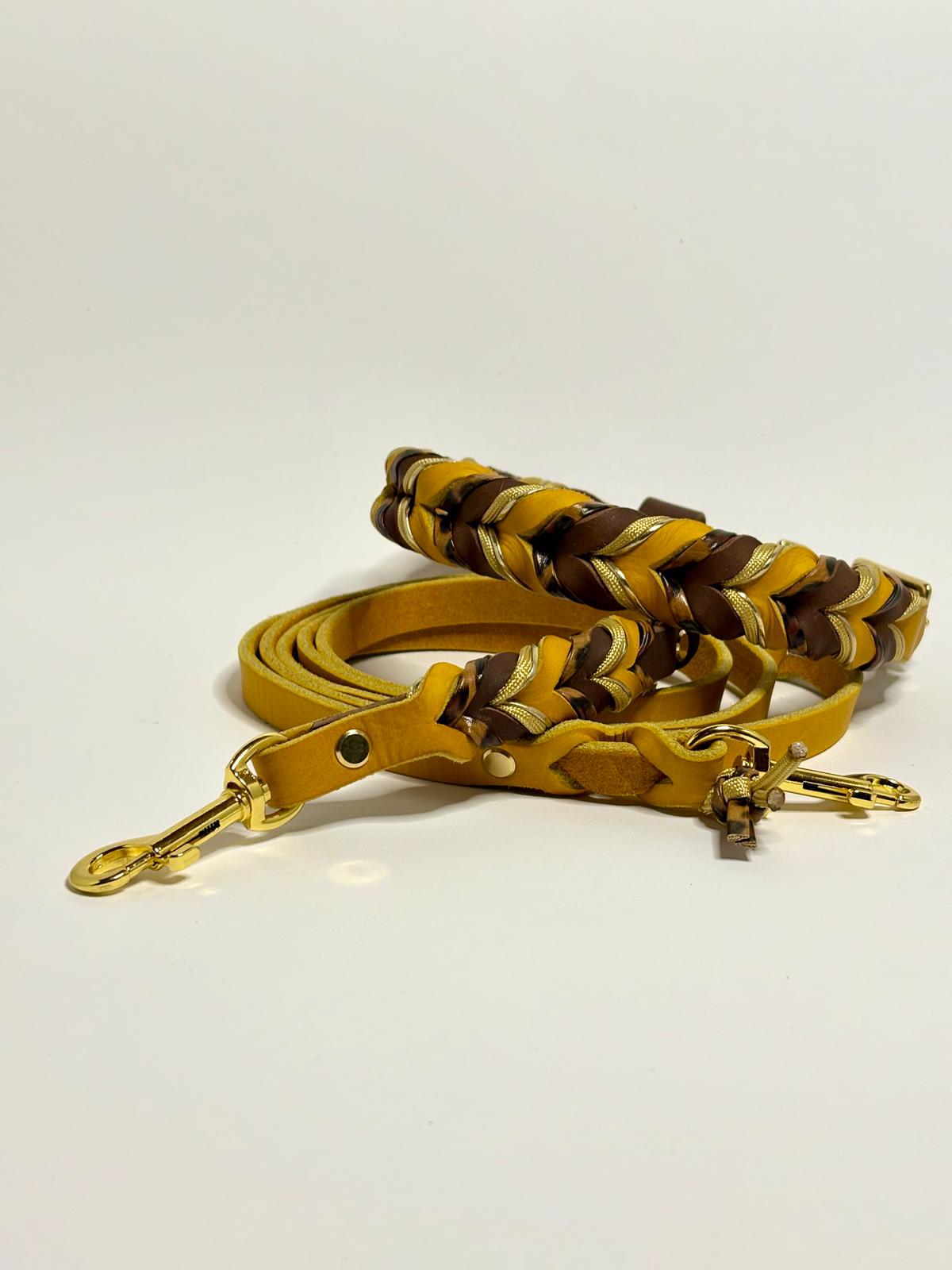 Lederleine Leo Blaze
