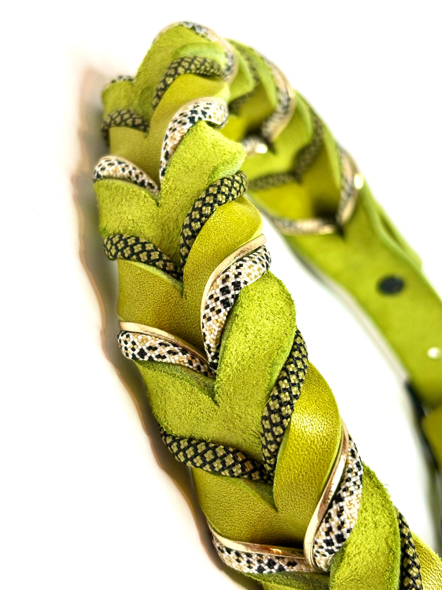 Lederhalsband Kiwi Frog
