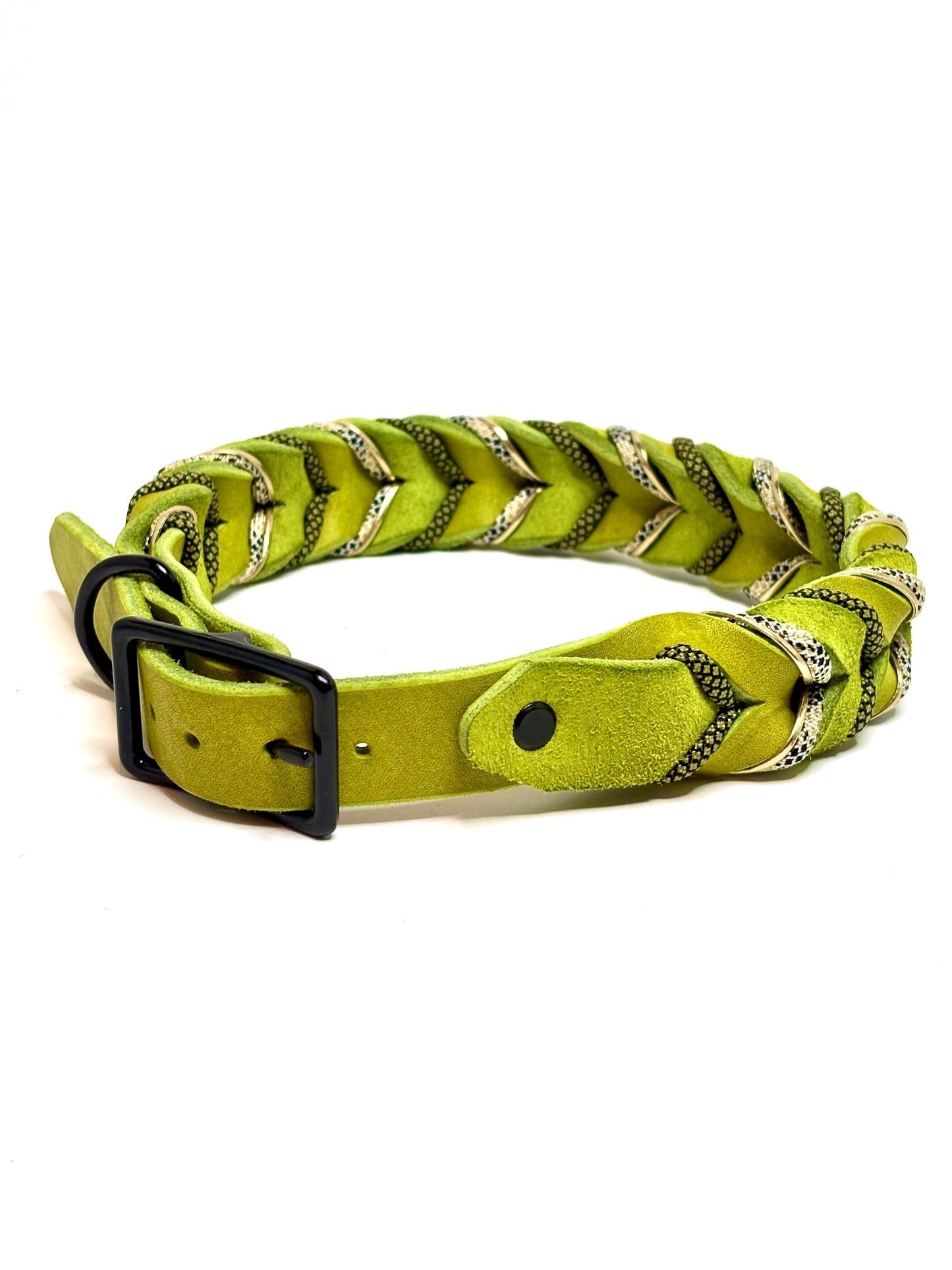 Lederhalsband Kiwi Frog