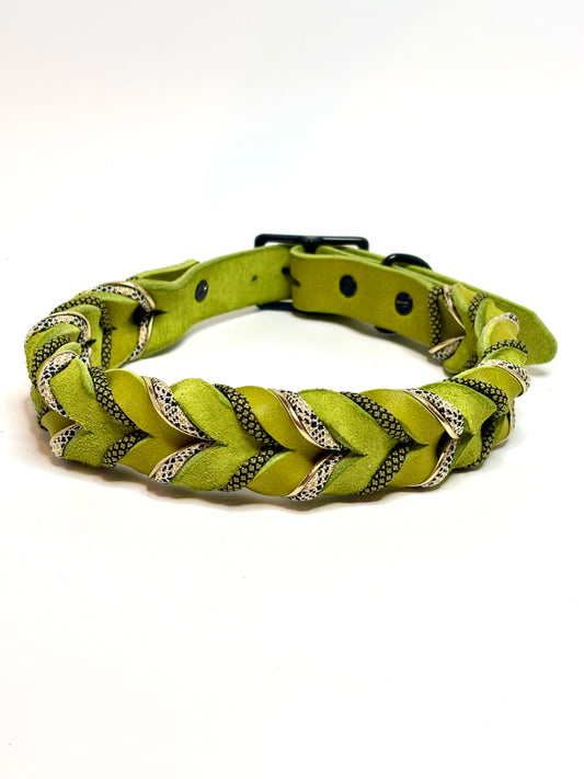 Lederhalsband Kiwi Frog