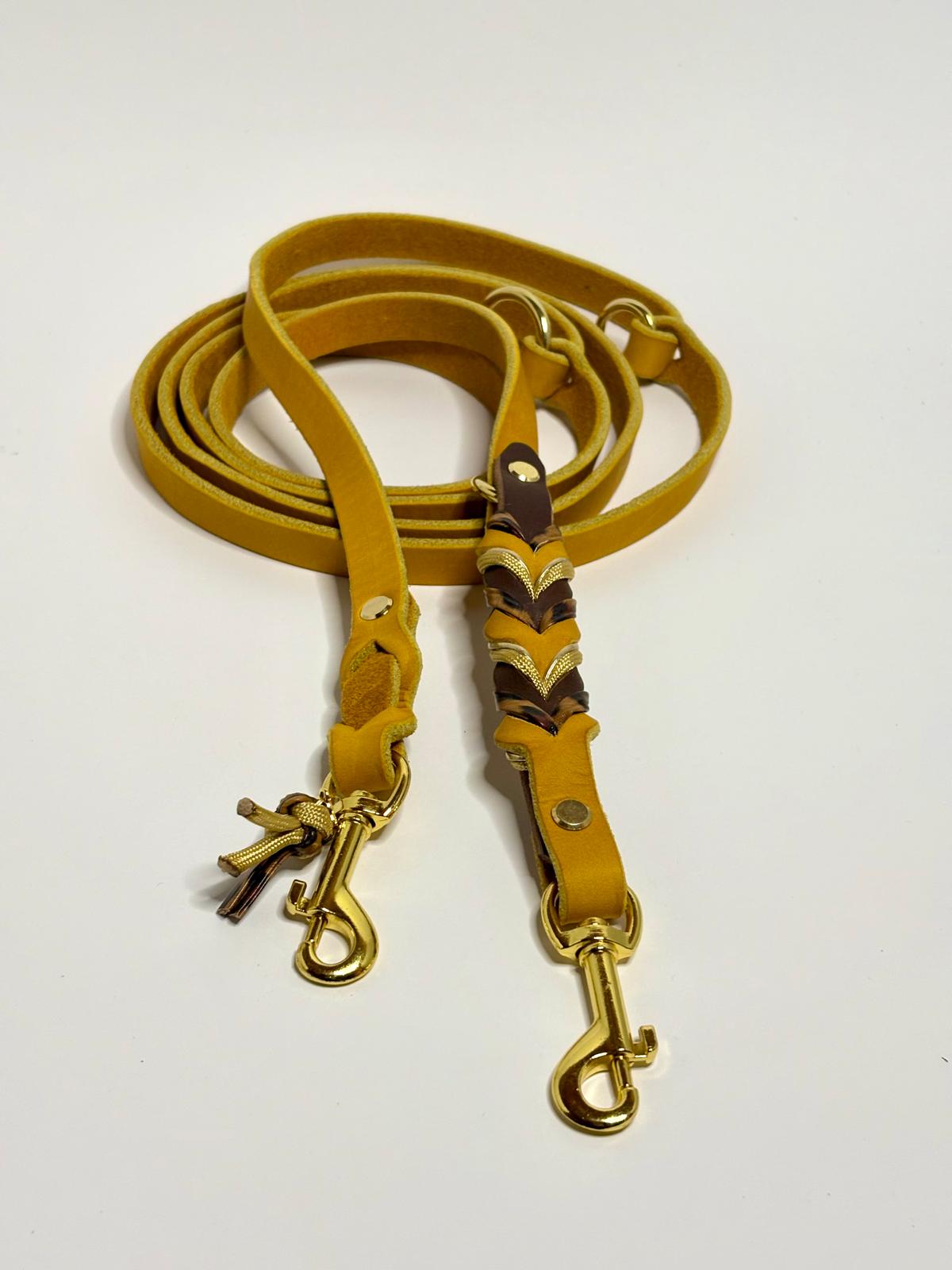 Lederleine Leo Blaze