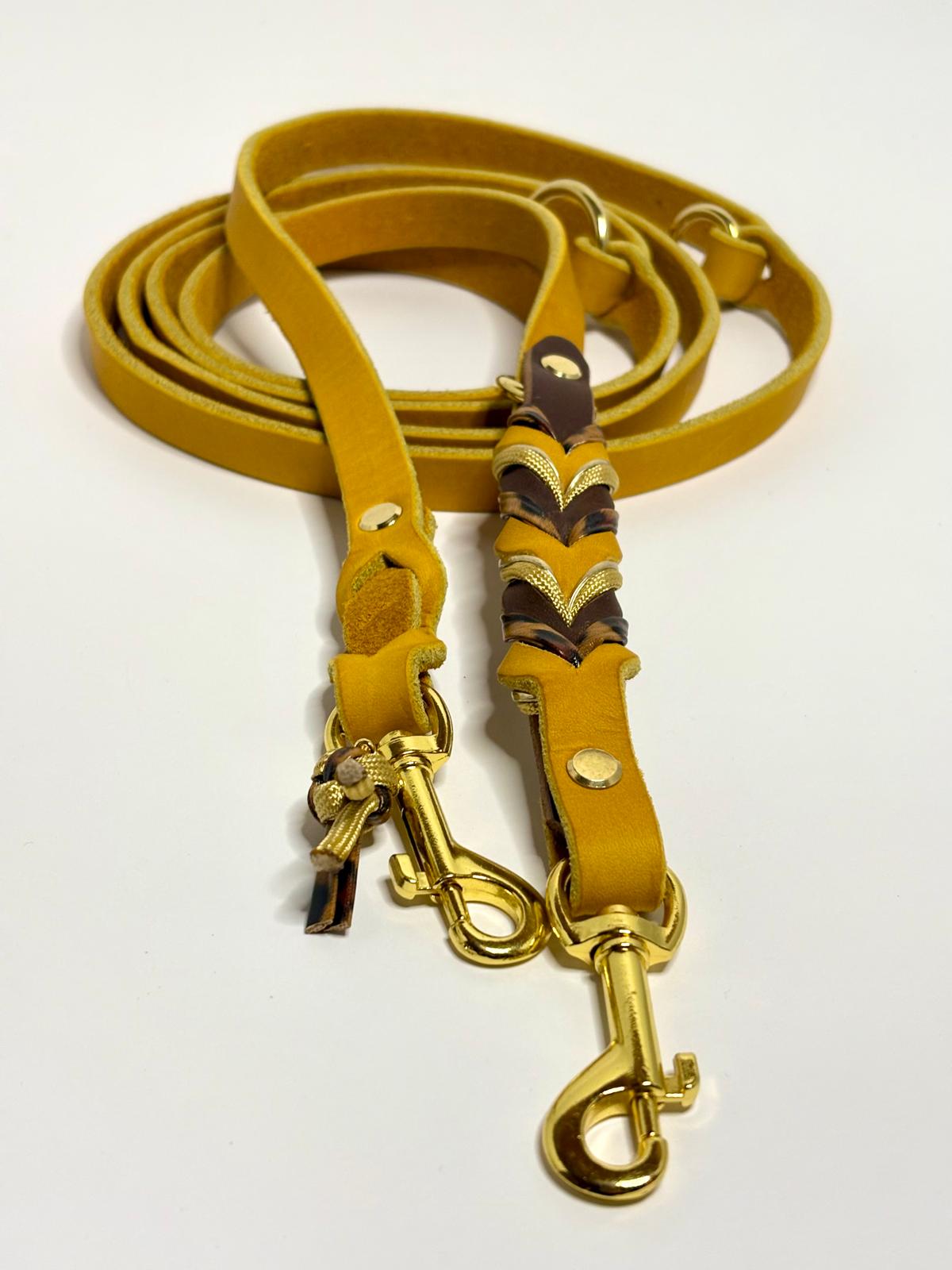 Lederleine Leo Blaze